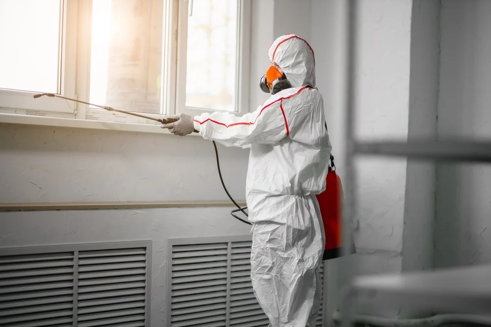 Professional mold remediation services in East Liverpool, OH
